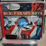 badly drawn boy have you fed the fish